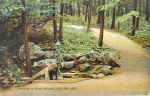 0186. Entrance to Picnic Grounds, Hyde Park, Mass