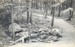 0192. Entrance to Picnic Grounds, Hyde Park, Mass.